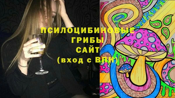 винт Гусь-Хрустальный